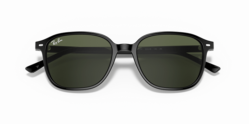 Ray-Ban RB2193 Leonard Güneş Gözlüğü